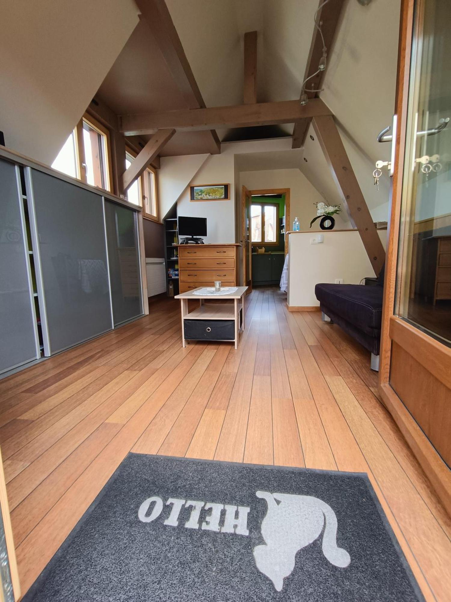 Apartment De La Tour *